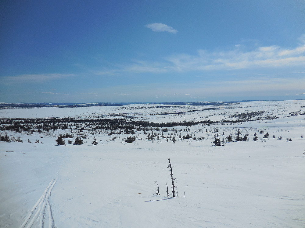 Fra oppstigningen mot Storbekkfjellet og med utsikt sørover til Åmot.