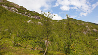 ghhanssen_20191016_5da767325ba70.jpg