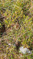ghhanssen_20191016_5da7674a8b7c9.jpg