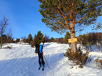 ghhanssen_20191023_5db0a980e194b.jpg