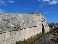 ghhanssen_20191028_5db75699d357e.jpg