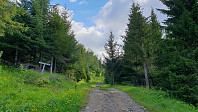 ghhanssen_20200806_5f2c779904f15.jpg