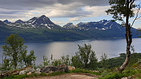ghhanssen_20200806_5f2c77ba9a07d.jpg