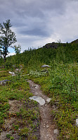 ghhanssen_20200806_5f2c77c5bb458.jpg