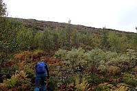 ghhanssen_20200920_5f6782fc9f543.jpg