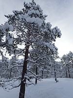 ghhanssen_20200921_5f6849eba0183.jpg