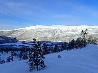 ghhanssen_20200921_5f684a7d25df3.jpg