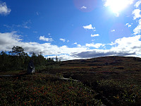ghhanssen_20200921_5f68a5634e9d7.jpg