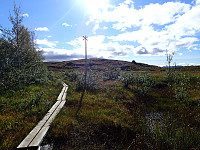 ghhanssen_20200921_5f68a5695f4d8.jpg