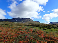 ghhanssen_20200921_5f68a575476d7.jpg