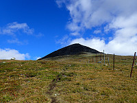 ghhanssen_20200921_5f68a59bc5876.jpg