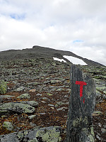 ghhanssen_20200921_5f68a65f774e8.jpg