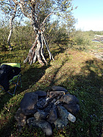 ghhanssen_20200921_5f68a6c106999.jpg