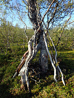 ghhanssen_20200921_5f68a6c4ca04c.jpg