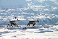 ghhanssen_20200924_5f6c60a21be74.jpg