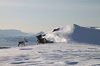ghhanssen_20200924_5f6c60a6293bf.jpg