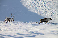 ghhanssen_20200924_5f6c60ad6c5f9.jpg