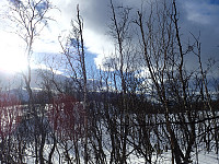 ghhanssen_20200925_5f6de05214f93.jpg