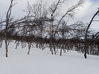 ghhanssen_20200925_5f6de0609304a.jpg