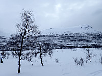 ghhanssen_20200925_5f6de3363688b.jpg