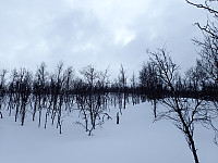 ghhanssen_20200925_5f6de33b29f99.jpg