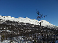 ghhanssen_20200925_5f6dea22c1570.jpg