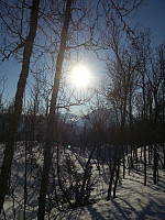 ghhanssen_20200925_5f6dea2f02f7b.jpg