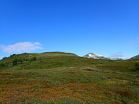 ghhanssen_20200929_5f7328836c01f.jpg