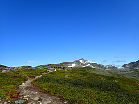 ghhanssen_20200929_5f73288ed43d1.jpg