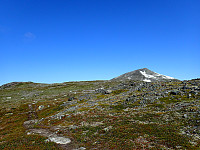 ghhanssen_20200929_5f73289741adc.jpg