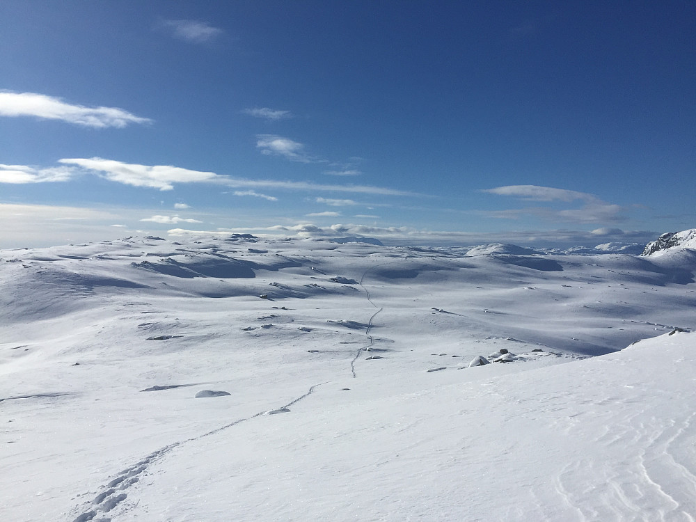 Trugespor i puddersnø. Ikkje alle er født med ski på beina. 