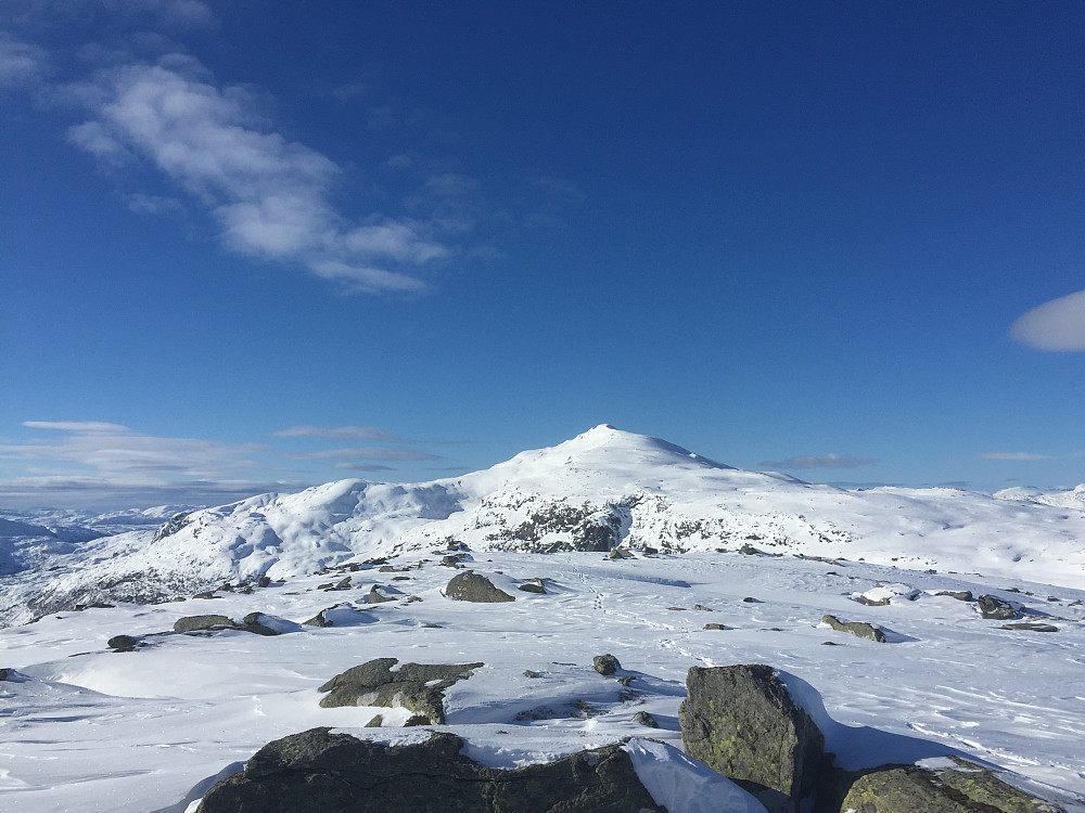 Blånipa
