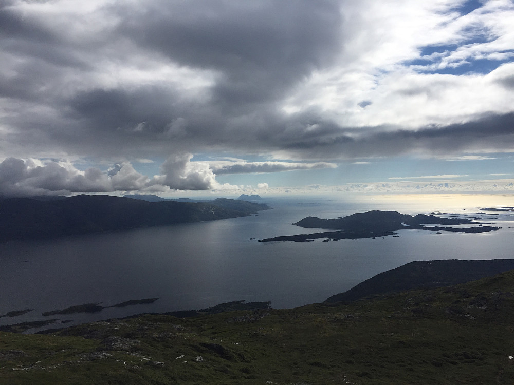 Den norske hest, Alden i bakgrunnen. 