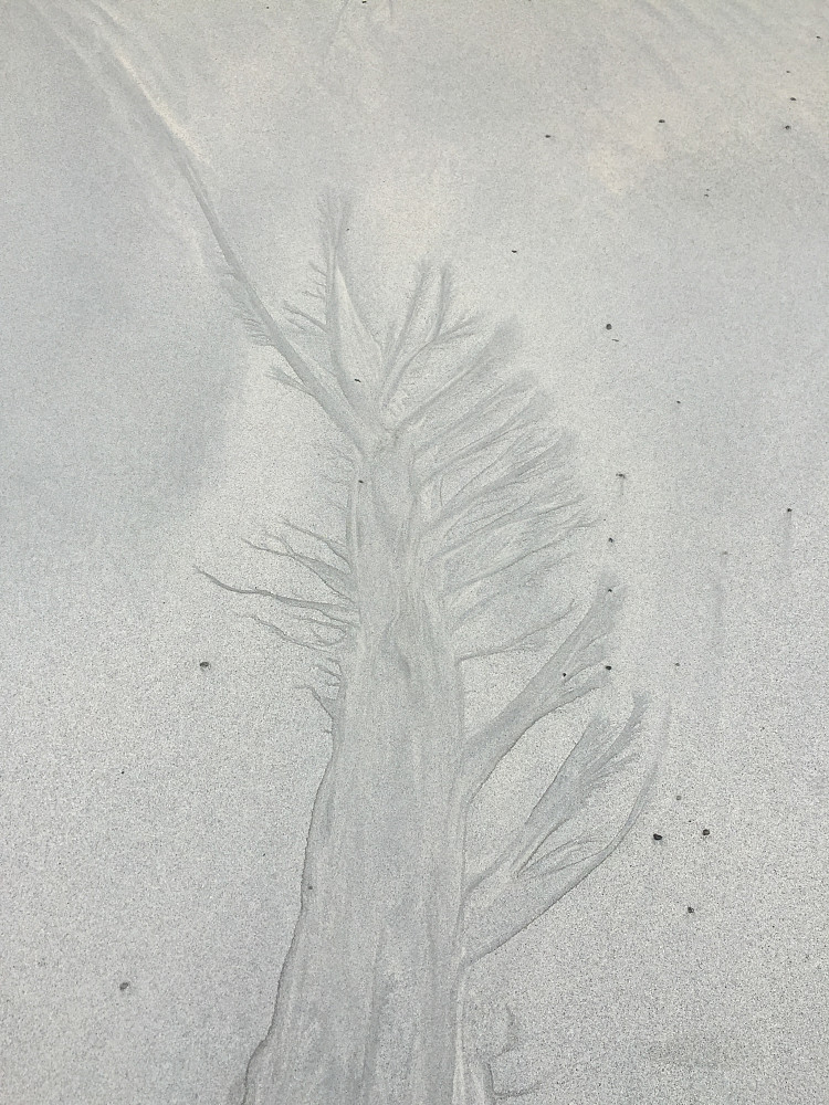  Naturens kunstverk 2. Vatn lagar mønster i sanden.