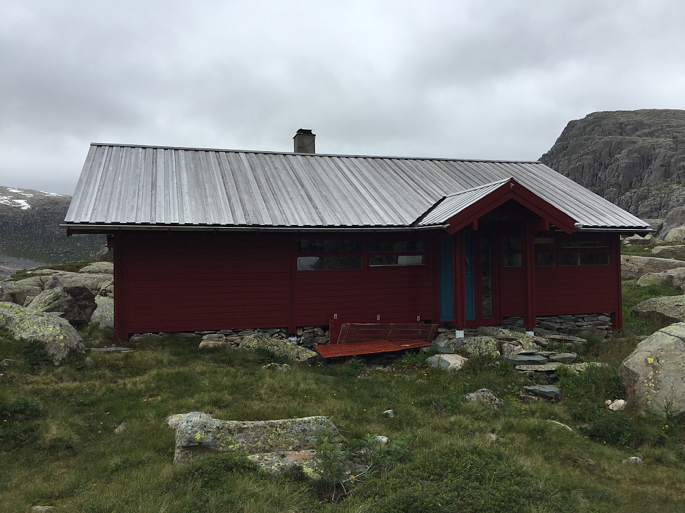 Blåbrebu
