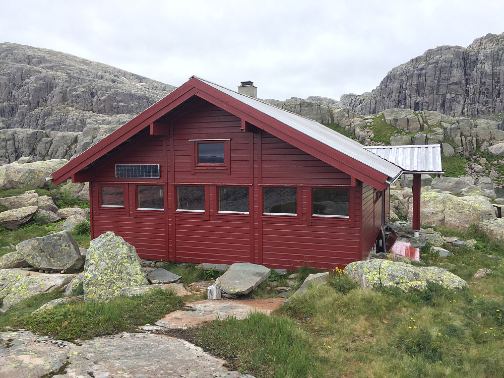 Blåbrebu