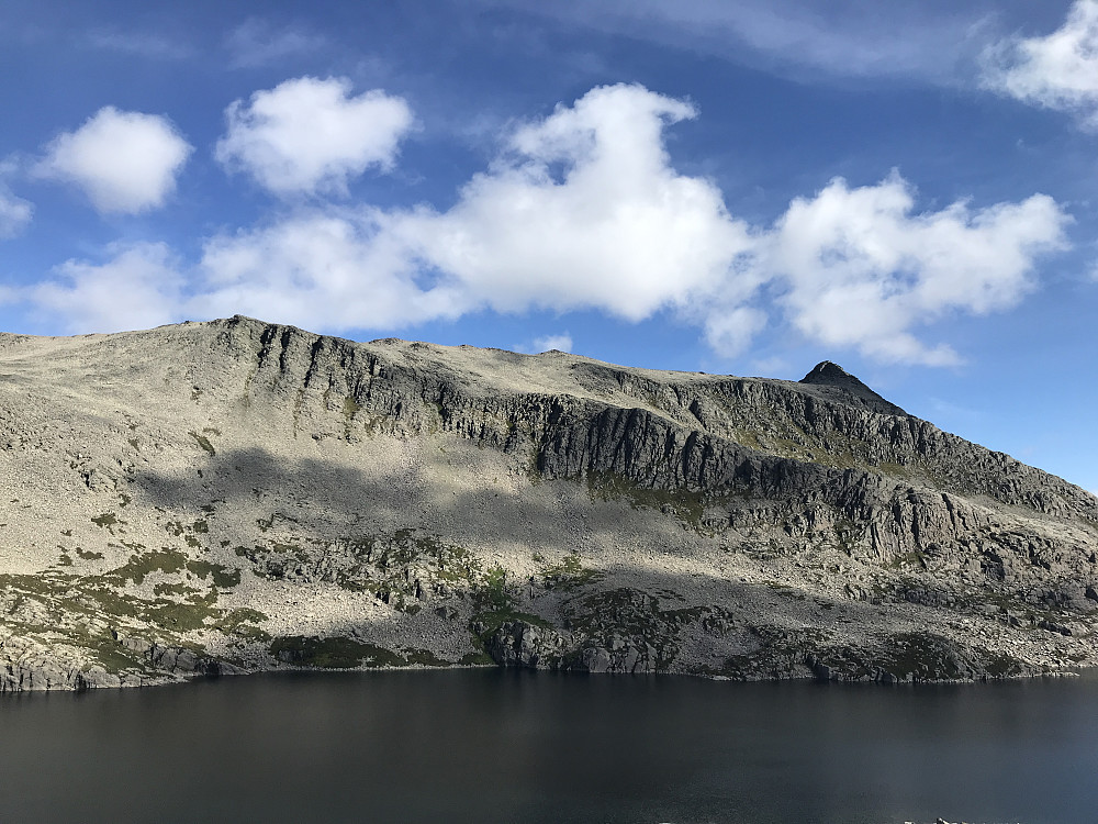 Hjelmen