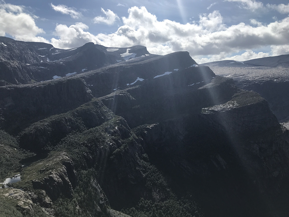 Legdene mot risebøra