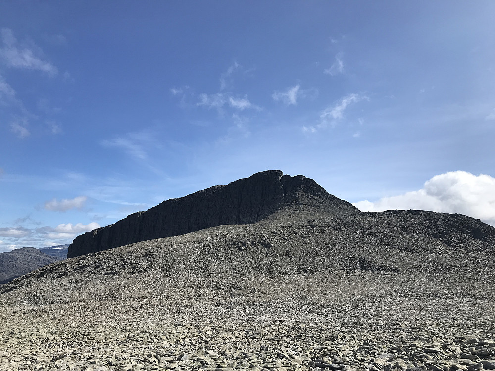 Hjelmen