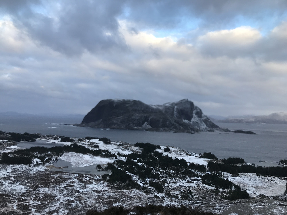 Alden i delvis vinterdrakt.