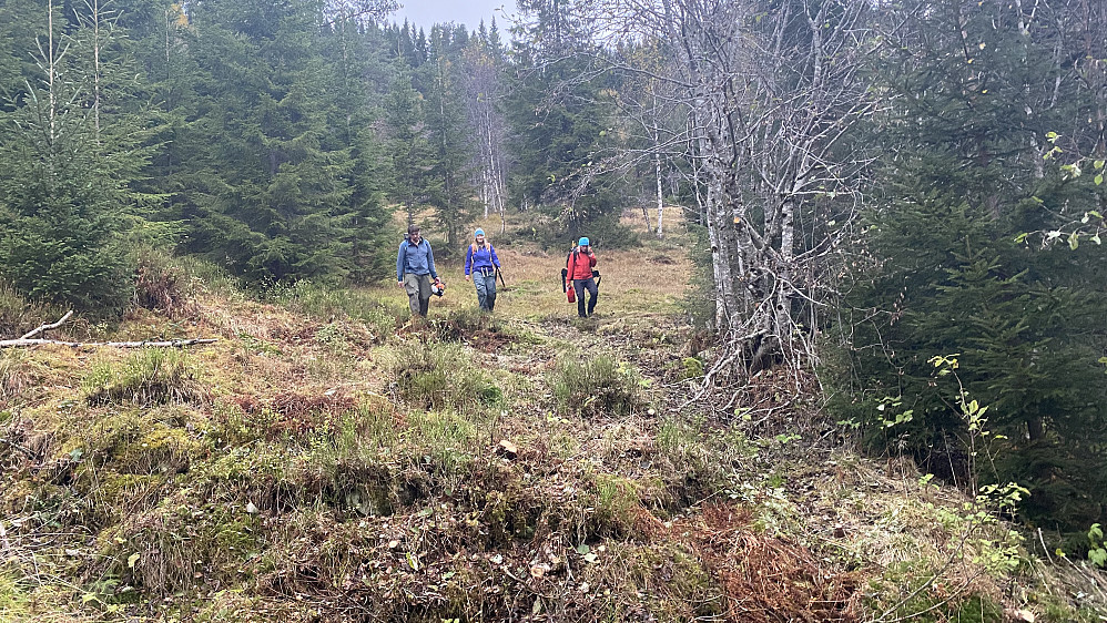 Ein fin dag med rydding av skitrasse frå Eikåsnipa før vinterens skisesong startar. 
Vart og ein tur oppom toppen. 