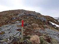 arntfla_20150412_552a38f5e8328.jpg