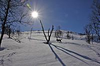 arntfla_20150425_553b609cbf3c6.jpg