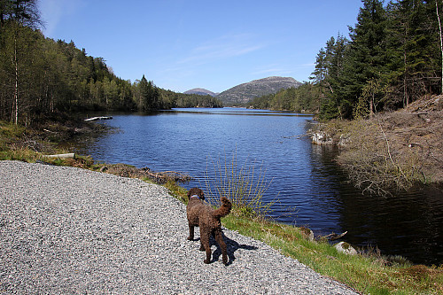 Idyllisk ved Langevatnet