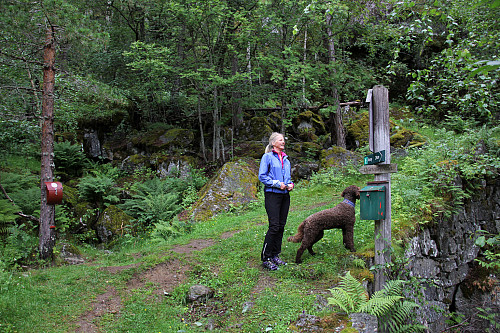 Anne leser om Olavskjelda
