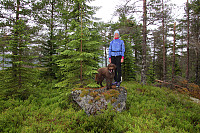 arntfla_20150718_55aabf93d604a.jpg