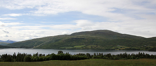 Trollhøe - også kjent som Trollhøi