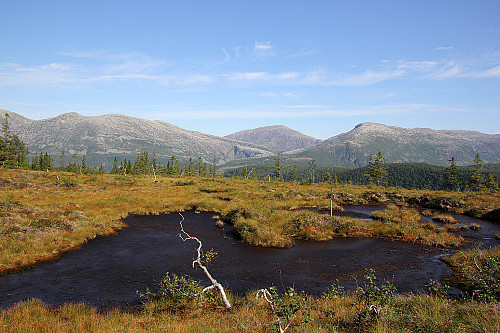 Utsikt mot fjellene over Langfjorden