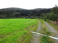 arntfla_20150919_55fdc3ca75d56.jpg