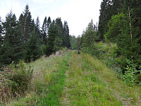 arntfla_20150919_55fdc3cd9df9e.jpg